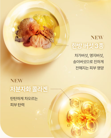 Sooryehan Bichaek Ginseng Yun Lotion 130ml + 100ml/Ginseng/Glossy/Emulsion