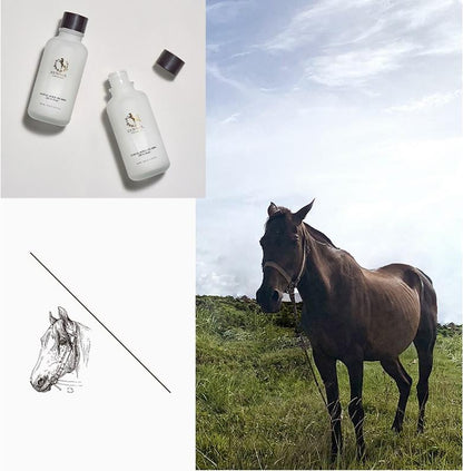 EUNYUL Horse Oil All In One For Man 125ml x 2ea/Collagen/Moisture/Wrinkle