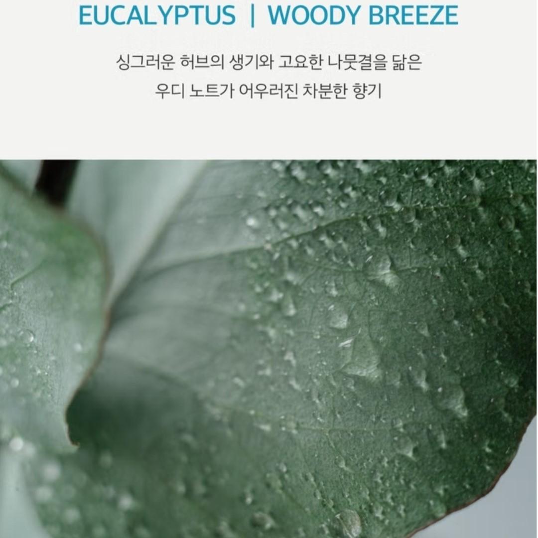 Sal Therapy Eucalyptus Salt Acne Body Wash Woody Breeze 400ml/dead skin cells