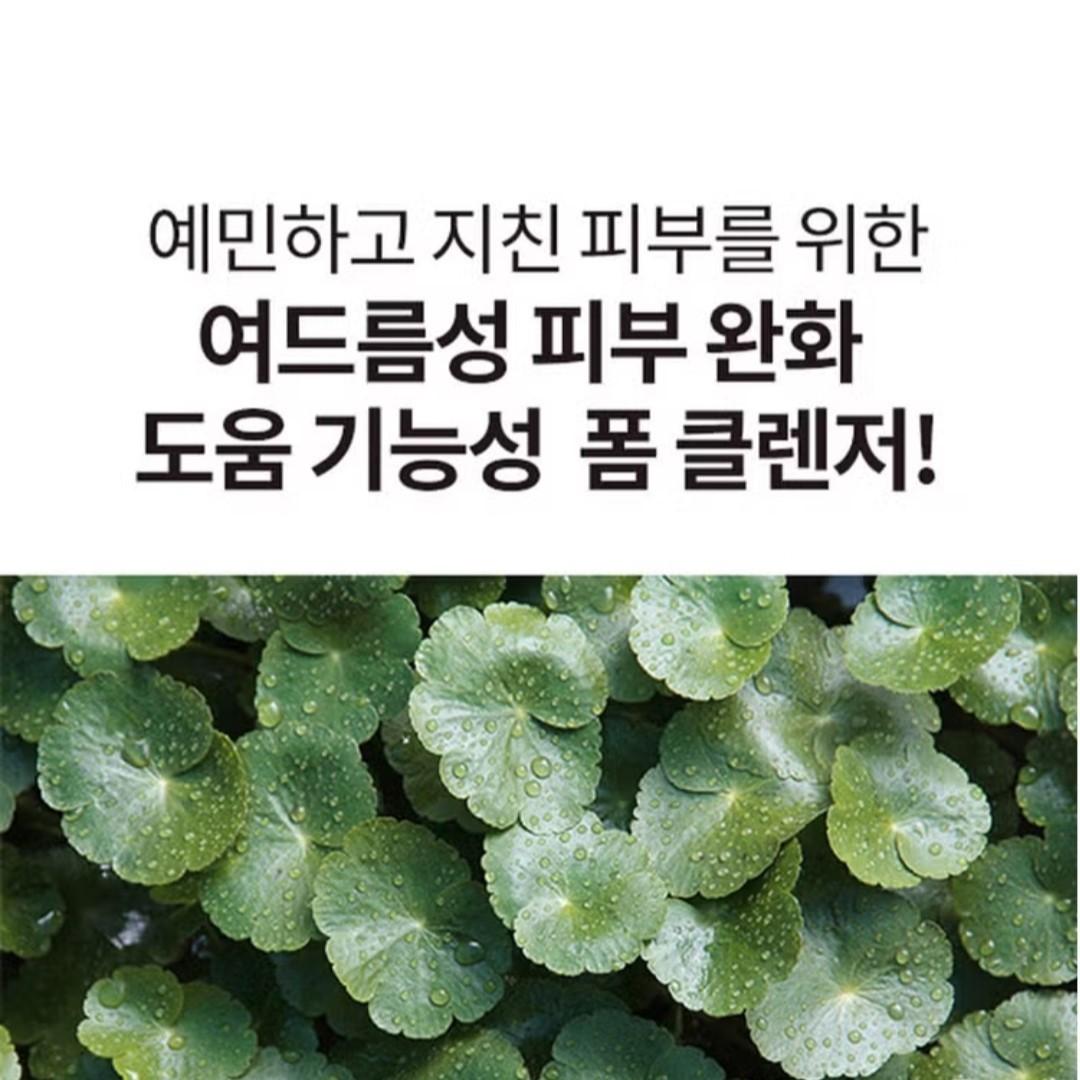 Shingmulwon Cica Clear Foam Cleanser 6.08 fl.oz.+ Mud Pack 3.37 fl.oz. - ACNE