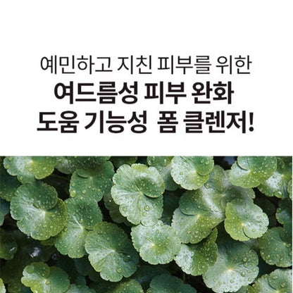 Shingmulwon Cica Clear Foam Cleanser 6.08 fl.oz.+ Mud Pack 3.37 fl.oz. - ACNE