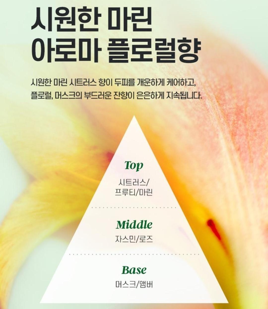 Shampooing TS Dandruff Care-Démangeaisons du cuir chevelu-Matériau...