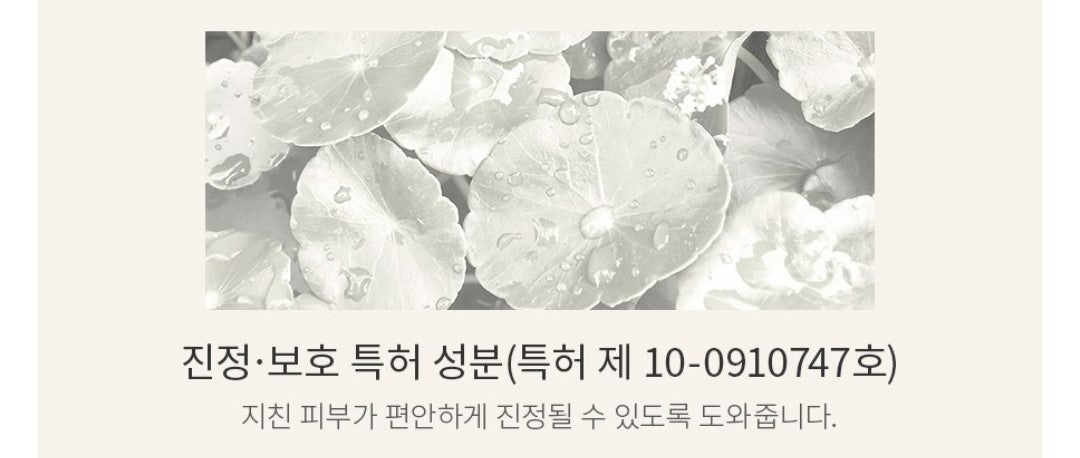 A.H.C/AHC/ Premium Hydra Soother Cellulose Mask 27ml x 5 Sheets