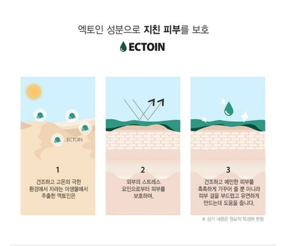 JAYJUN 防尘治疗面膜 10 片