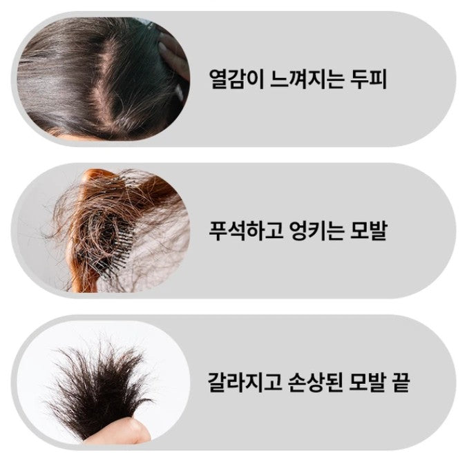 1+1 / MODAMODA Volume Repair Scalp Hair Pack (90ml) x 2ea
