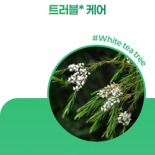 Acnes White Tea Tree Spot Cream 30 mL / 1.01 fl. oz.+Foam Cleanser 100 mL / 3.38 fl. oz.