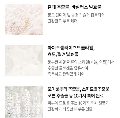 AHC Aura Secret Tone-Up Cushion SPF 30 / PA++