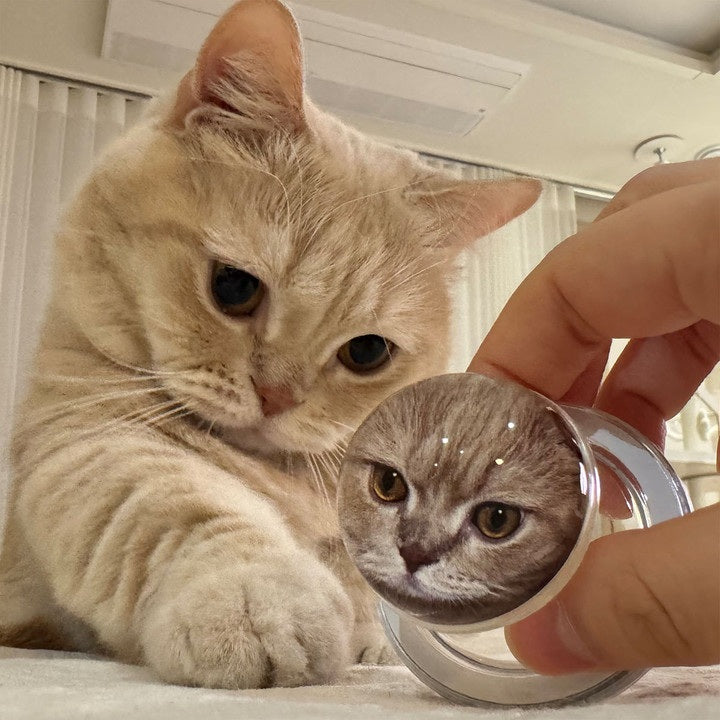 Custom Pet Full-Photo Dome (Bead) Grip & Stand (1:1 Made-to-Order)