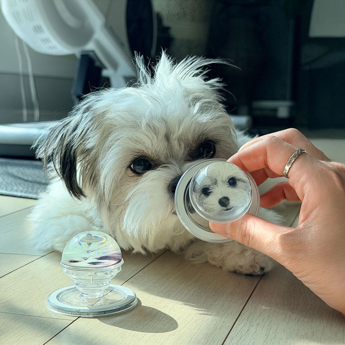 Custom Pet Full-Photo Dome (Bead) Grip & Stand (1:1 Made-to-Order)