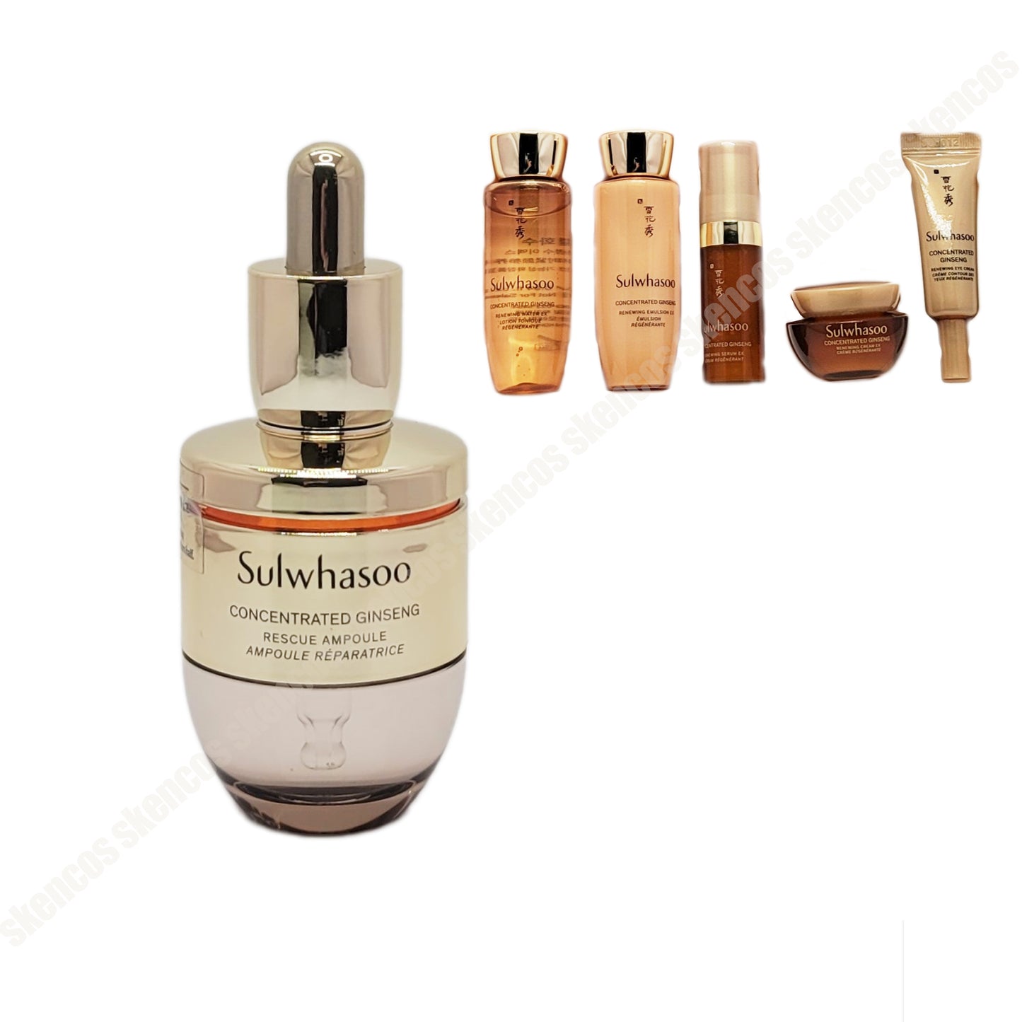 Sulwhasoo konzentrierte Ginseng-Rettungsampulle 20 g + OHUI/O HUI 5-teiliges Kit/Set