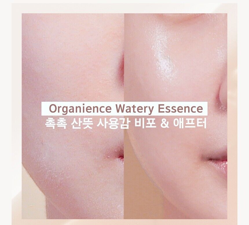 Primera Watery Essence 380ml+30mlx2/14.8 fl.oz./Jumbo Edition/Chilling/Soothing