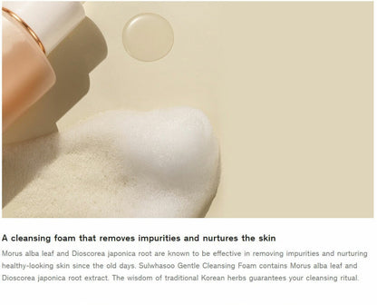 Sulwhasoo Gentle Cleansing Foam 200ml+Clarifying Mask EX 2ea/Peel Off/Spachula