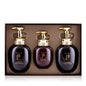 The History of Whoo-SPA Hair 3pcs Special Set/Shampoo 350ml x 2pcs+Rince 220ml